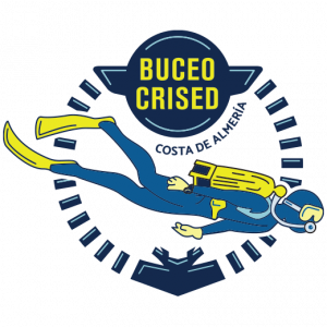 BuceoCrised_ClubBuceoAlmeria_bautismobuceo_logo
